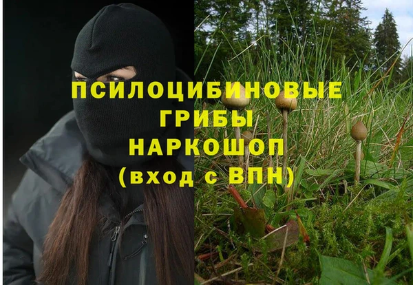 экстази Абаза