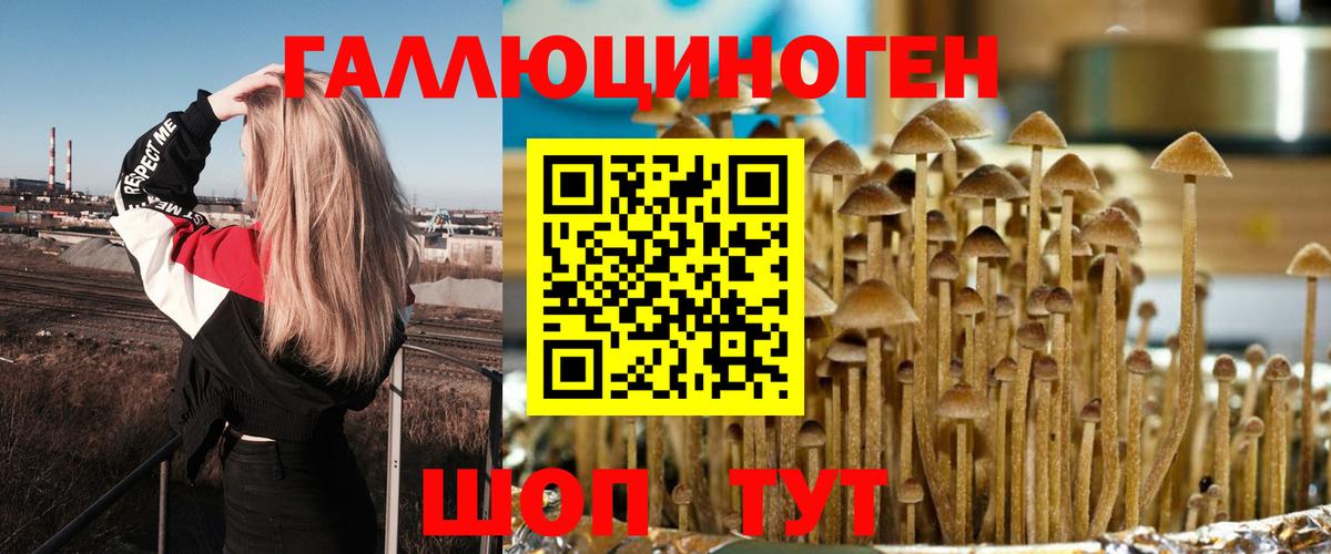 Псилоцибиновые грибы Magic Shrooms Кудымкар